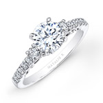14k White Gold Bezel Prong Set White Diamond Engagement Ring