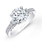 14k White Gold Channel Bezel Prong White Diamond Engagement Ring